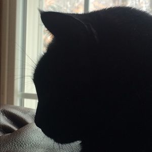 Meet your Posher, Deanna